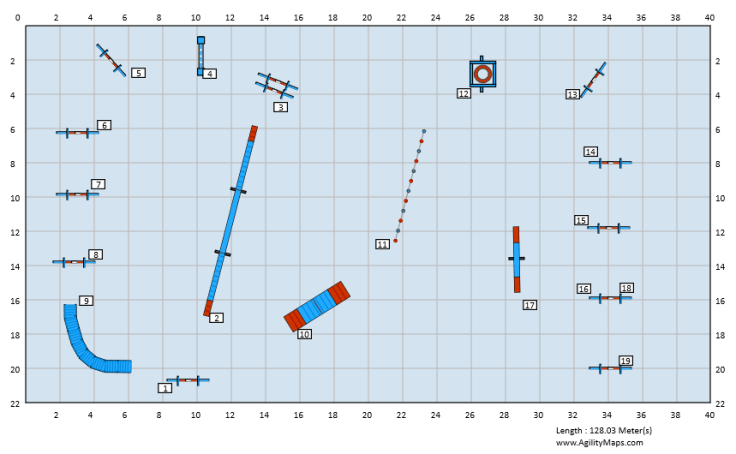 Canine Massage Guild Agility